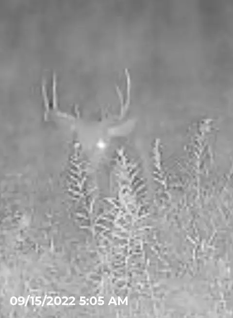 Crooked Creek, Cassopolis, MI 49031 photo 60