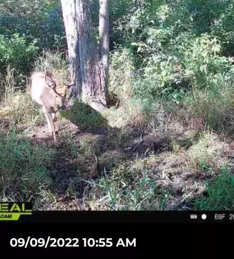 Crooked Creek, Cassopolis, MI 49031 photo 62