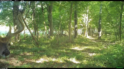 Crooked Creek, Cassopolis, MI 49031 photo 45