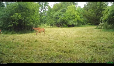 Crooked Creek, Cassopolis, MI 49031 photo 37