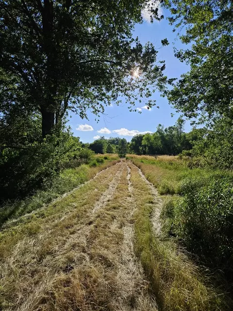 Crooked Creek, Cassopolis, MI 49031 photo 10