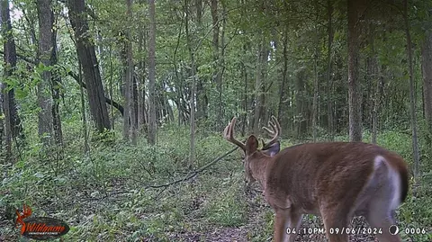 Crooked Creek, Cassopolis, MI 49031 photo 57