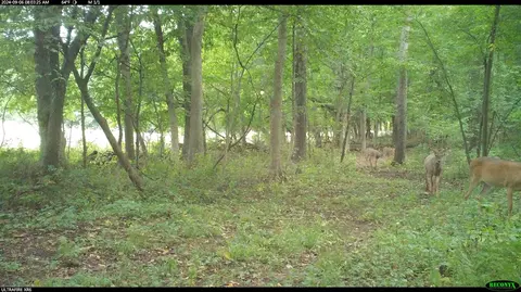 Crooked Creek, Cassopolis, MI 49031 photo 38