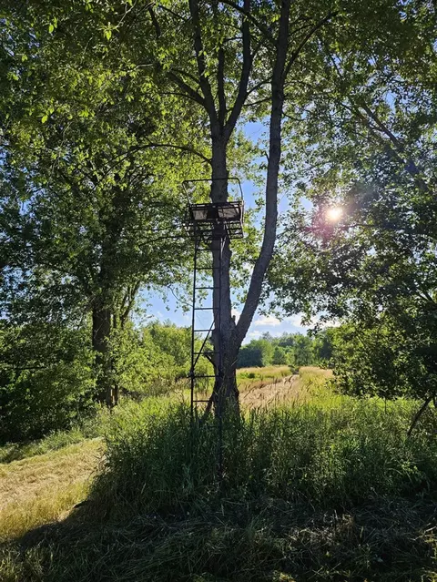 Crooked Creek, Cassopolis, MI 49031 photo 11