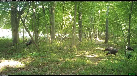 Crooked Creek, Cassopolis, MI 49031 photo 48