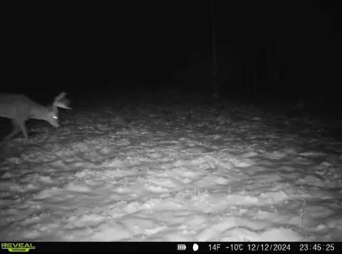 Crooked Creek, Cassopolis, MI 49031 photo 3