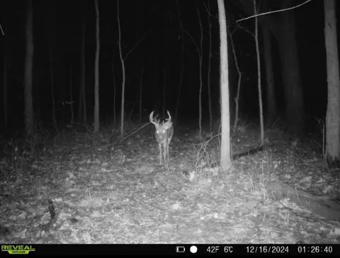 Crooked Creek, Cassopolis, MI 49031 photo 6