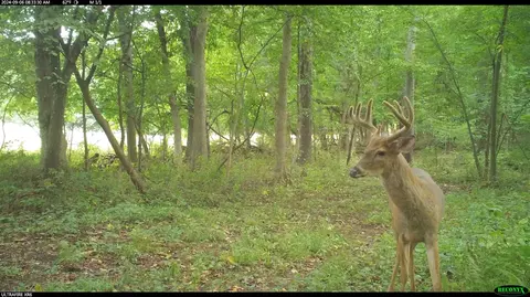 Crooked Creek, Cassopolis, MI 49031 photo 40