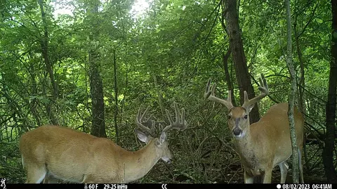 Crooked Creek, Cassopolis, MI 49031 photo 34