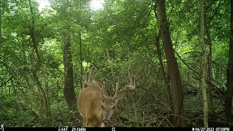 Crooked Creek, Cassopolis, MI 49031 photo 30