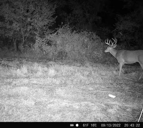 Crooked Creek, Cassopolis, MI 49031 photo 61