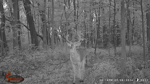 Crooked Creek, Cassopolis, MI 49031 photo 58