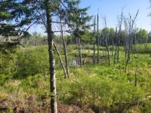 APT 00 E Pinewood, Roscommon, MI 48653 photo 19