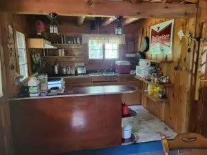 APT 00 E Pinewood, Roscommon, MI 48653 photo 11