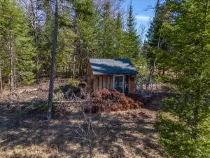 APT 00 E Pinewood, Roscommon, MI 48653 photo 16