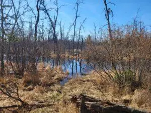 APT 00 E Pinewood, Roscommon, MI 48653 photo 20