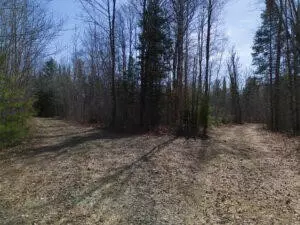APT 00 E Pinewood, Roscommon, MI 48653 photo 23