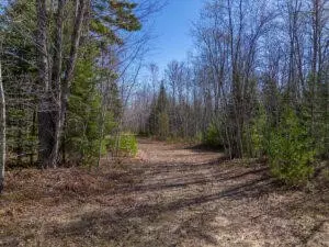 APT 00 E Pinewood, Roscommon, MI 48653 photo 6