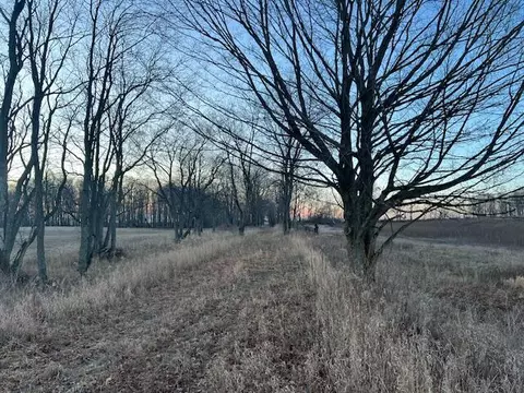 Vl 10 Mile, Remus, MI 49340