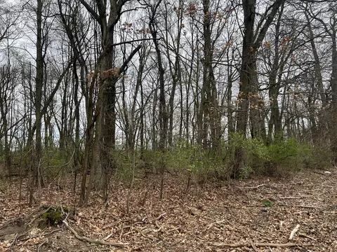 V/l Crystal Springs, Dowagiac, MI 49047