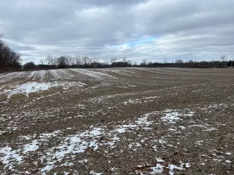 18580 Bull Run, Gregory, MI 48137 photo 6