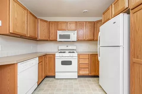 1461 Bowes, Lowell, MI 49331 photo 15