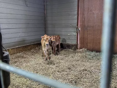 Other - 64597 Youngs Pr, Constantine, MI 49042 photo 5 of 13
