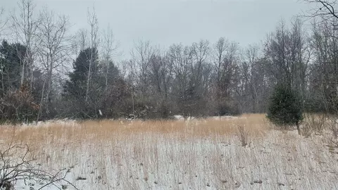 Parcel A Lester, White Cloud, MI 49349 photo 4