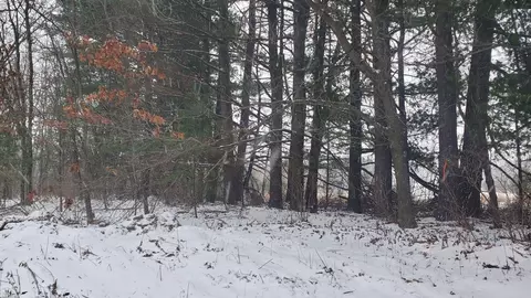 Parcel A Lester, White Cloud, MI 49349 photo 5
