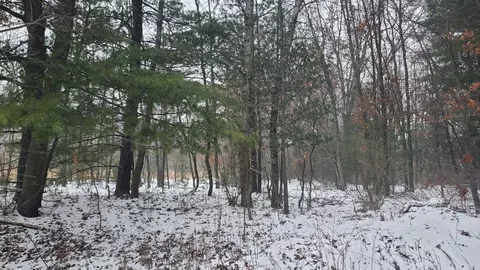 Parcel A Lester, White Cloud, MI 49349 photo 6