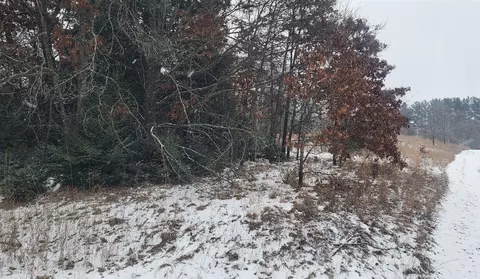 Parcel A Lester, White Cloud, MI 49349 photo 9