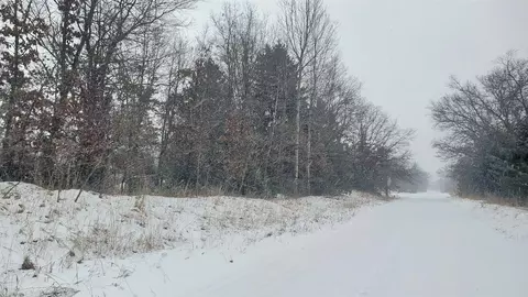 Parcel A Lester, White Cloud, MI 49349 photo 8