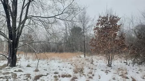 Parcel A Lester, White Cloud, MI 49349 photo 3
