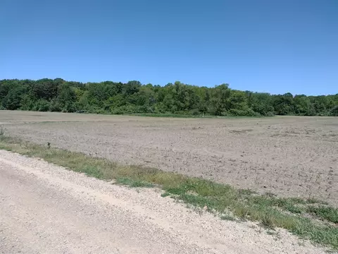 0004 118th, Fennville, MI 49408