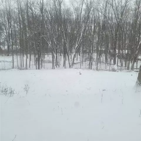 10400 Corey Blf, Three Rivers, MI 49093