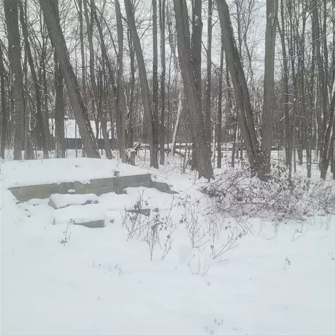 10400 Corey Blf, Three Rivers, MI 49093 photo 2