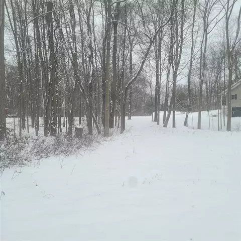 10400 Corey Blf, Three Rivers, MI 49093 photo 3