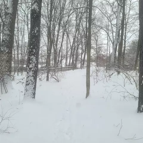 10400 Corey Blf, Three Rivers, MI 49093 photo 12