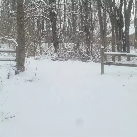 10400 Corey Blf, Three Rivers, MI 49093 photo 6