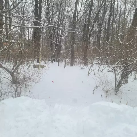 10400 Corey Blf, Three Rivers, MI 49093 photo 11