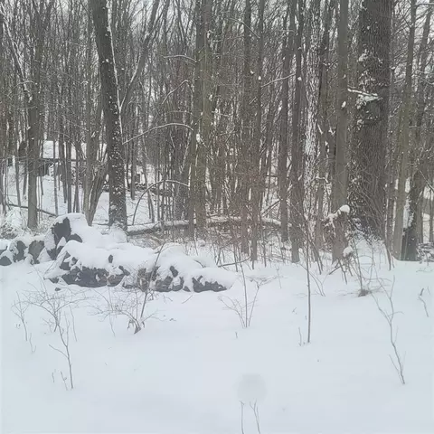 10400 Corey Blf, Three Rivers, MI 49093 photo 5