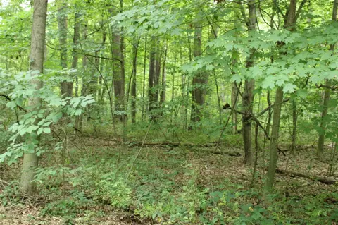 lot17 Ross, Benton Harbor, MI 49022