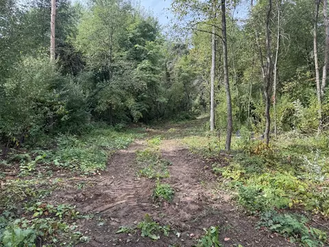 0 Cr-388, Gobles, MI 49055