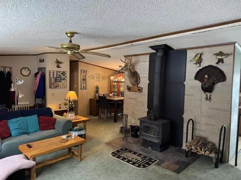 3233 S Spruce, White Cloud, MI 49349 photo 15
