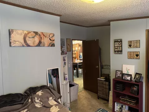 3233 S Spruce, White Cloud, MI 49349 photo 19