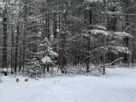 3233 S Spruce, White Cloud, MI 49349 photo 32