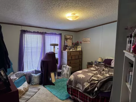 3233 S Spruce, White Cloud, MI 49349 photo 25