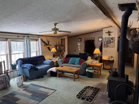 3233 S Spruce, White Cloud, MI 49349 photo 16