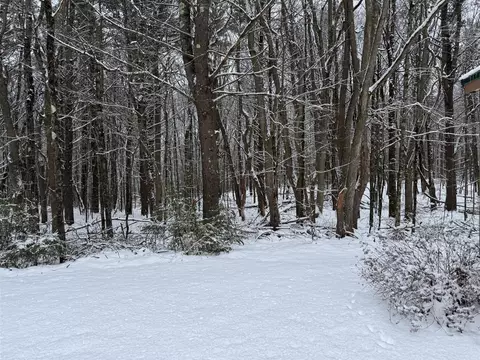 3233 S Spruce, White Cloud, MI 49349 photo 29