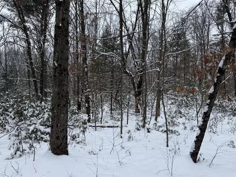 3233 S Spruce, White Cloud, MI 49349 photo 36